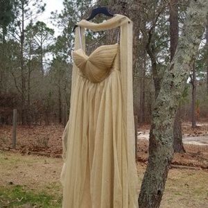 Strapless Gold Dress by Jenny Yoo